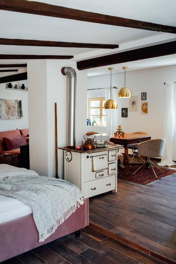 Apartment Aussee- Atelier Salzherrenhof- Kueche, Wlan, Netflix Бад-Аусзе Екстер'єр фото
